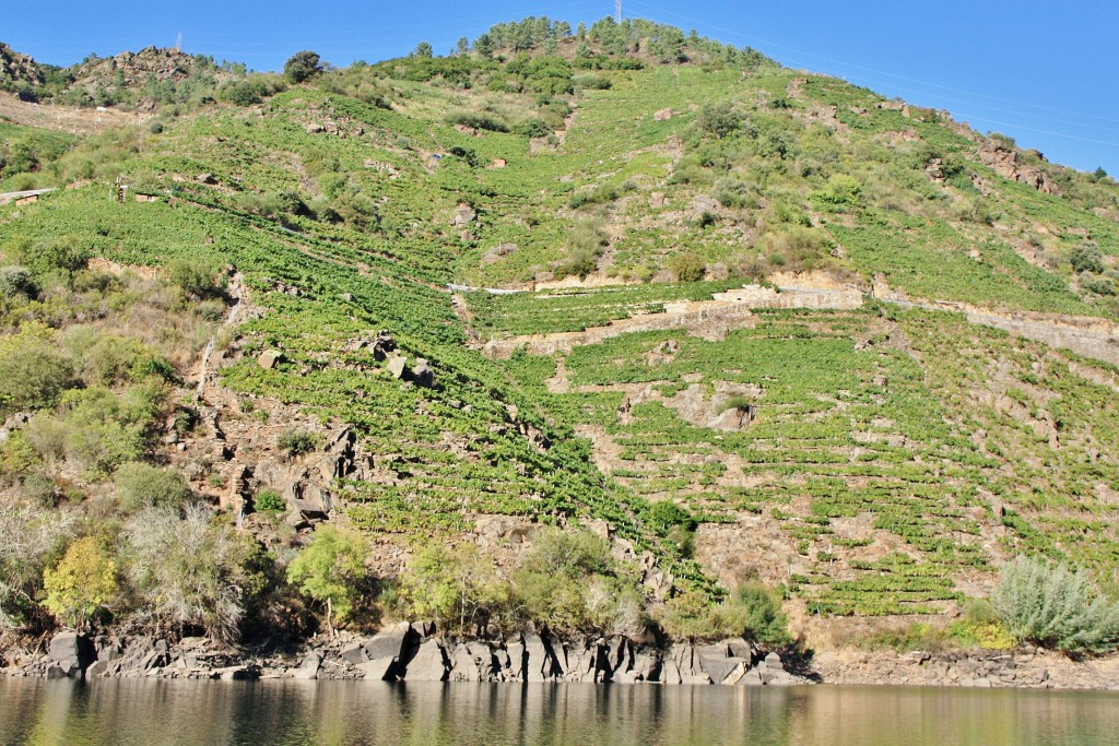 Foto: Cañón del rio Sil - Doade (Lugo), España
