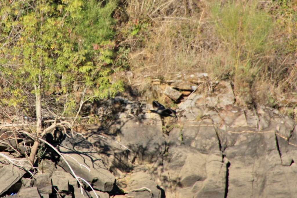 Foto: Cañón del rio Sil - Doade (Lugo), España
