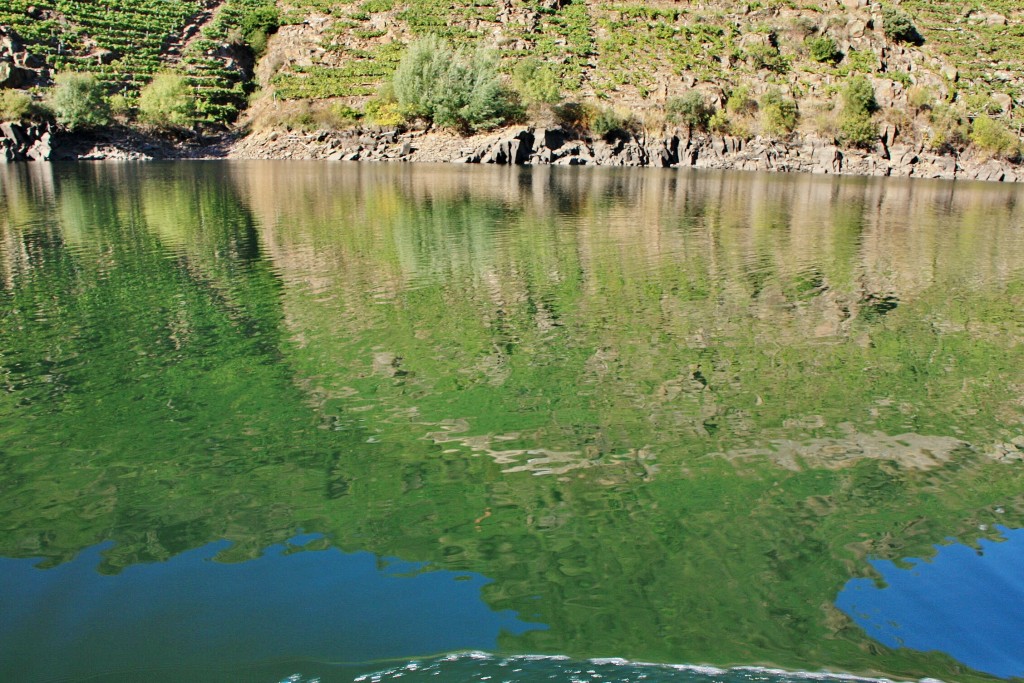 Foto: Cañón del rio Sil - Doade (Lugo), España