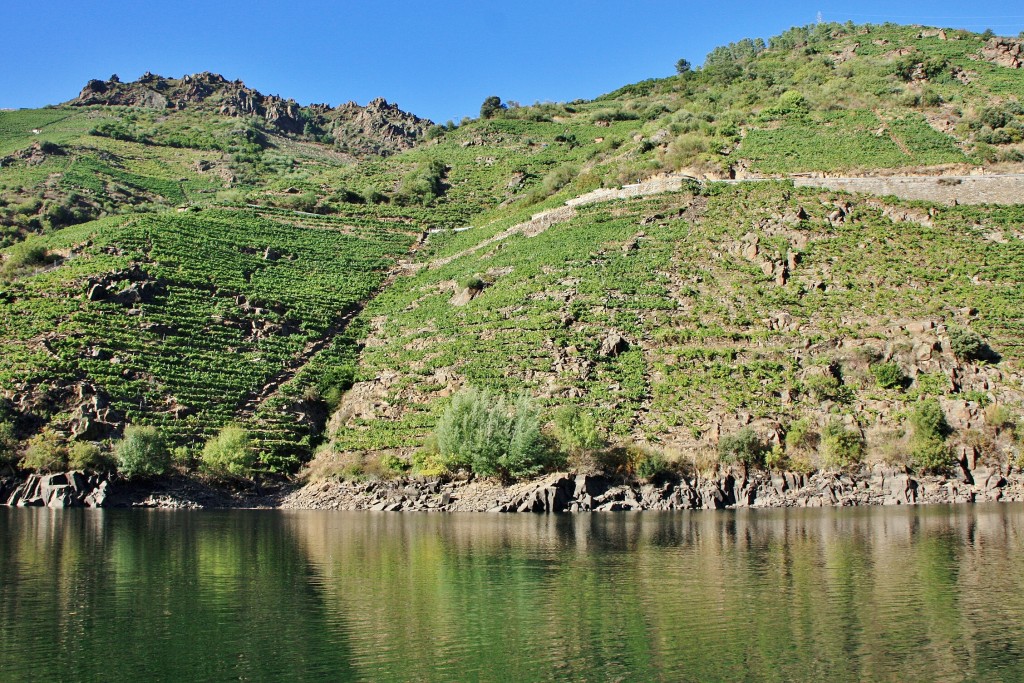 Foto: Cañón del rio Sil - Doade (Lugo), España