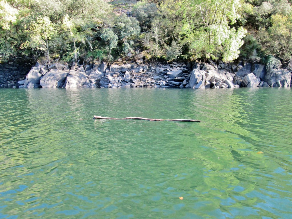 Foto: Cañón del rio Sil - Doade (Lugo), España
