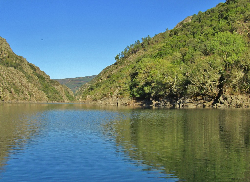 Foto: Cañón del rio Sil - Doade (Lugo), España