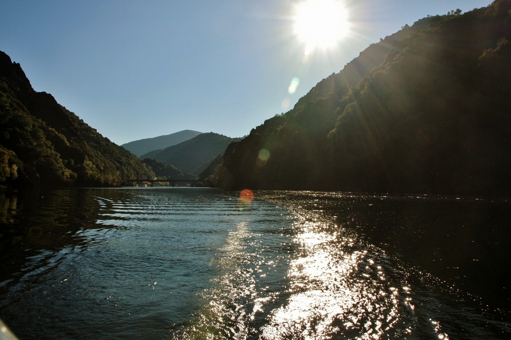 Foto: Cañón del rio Sil - Doade (Lugo), España