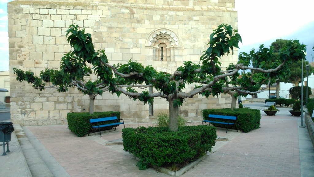 Foto de Candasnos (Huesca), España