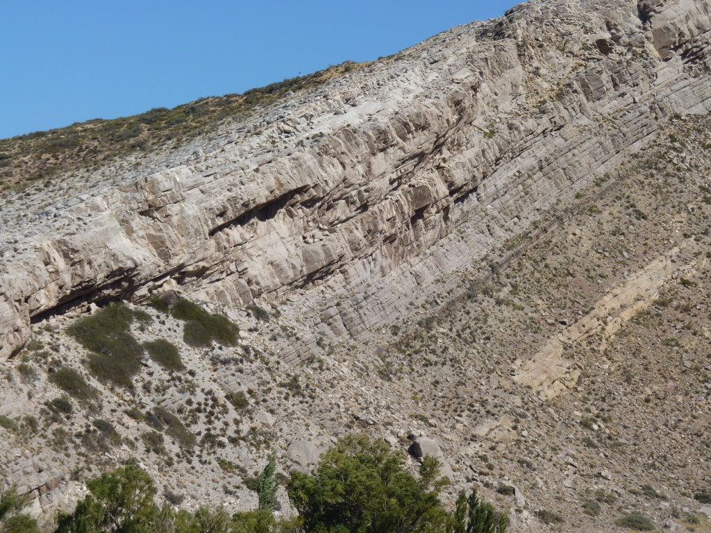 Foto: Bardas Blancas. - Malargüe (Mendoza), Argentina