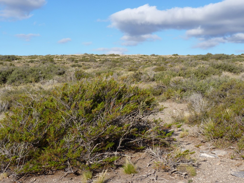 Foto: Dique Río Malargüe - Malargüe (Mendoza), Argentina