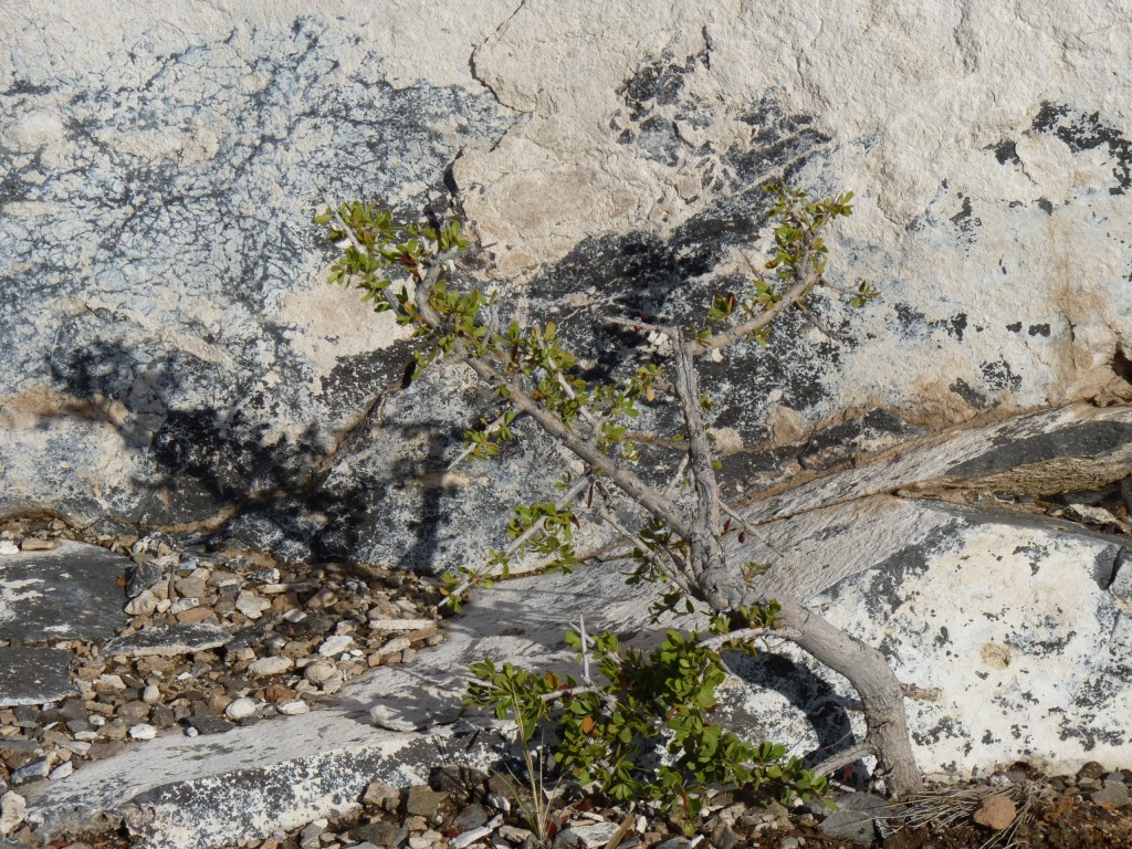 Foto: Dique Río Malargüe - Malargüe (Mendoza), Argentina
