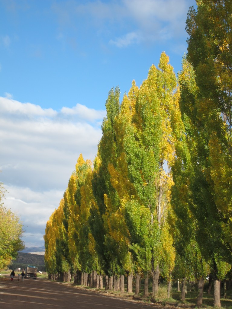 Foto: Camino a los Castillos de Pincheira - Malargüe (Mendoza), Argentina