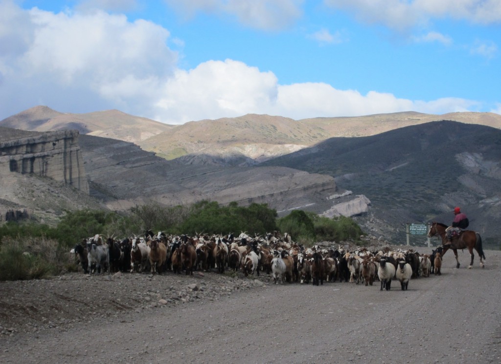 Foto: Castillos de Pincheira - Malargüe (Mendoza), Argentina