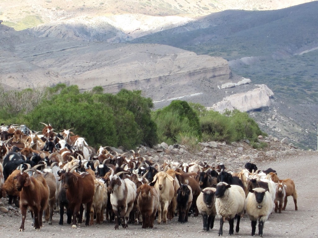 Foto: Castillos de Pincheira - Malargüe (Mendoza), Argentina