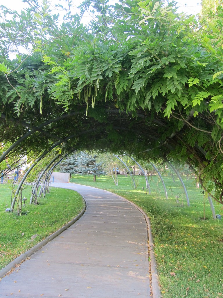 Foto: Observatorio Pierre Auger de rayos cósmicos. - Malargüe (Mendoza), Argentina