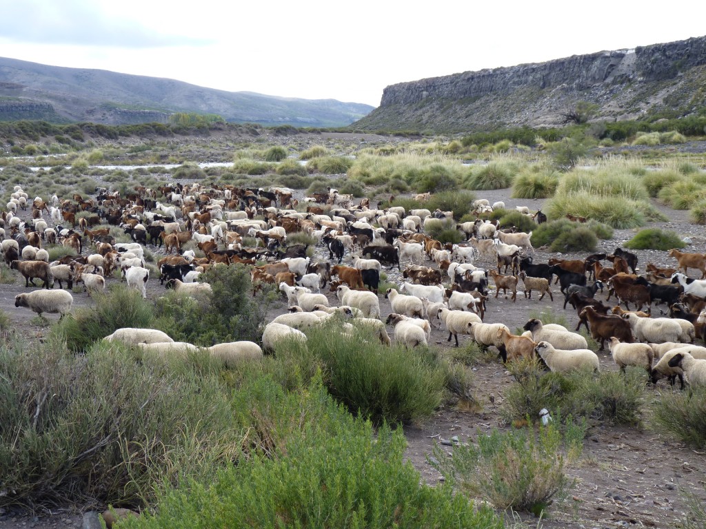 Foto: Castillos de Pincheira - Malargüe (Mendoza), Argentina