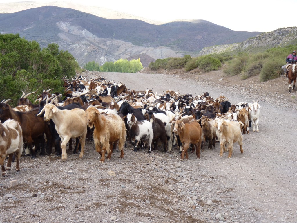 Foto: Castillos de Pincheira - Malargüe (Mendoza), Argentina