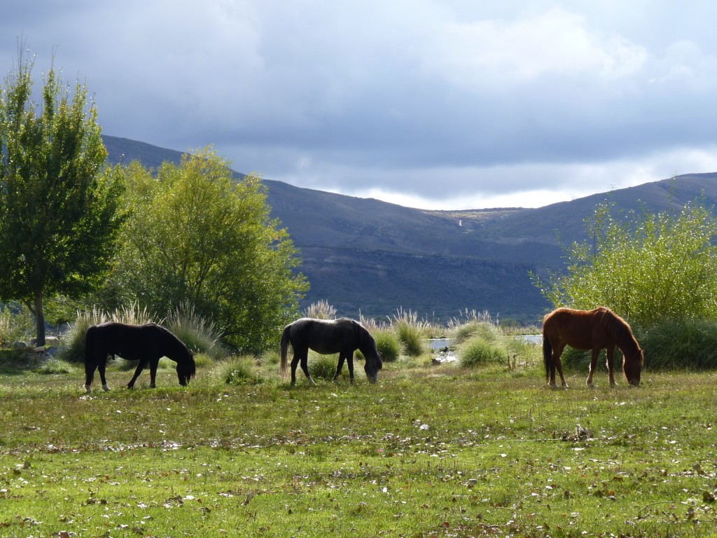 Foto: Castillos de Pincheira - Malargüe (Mendoza), Argentina