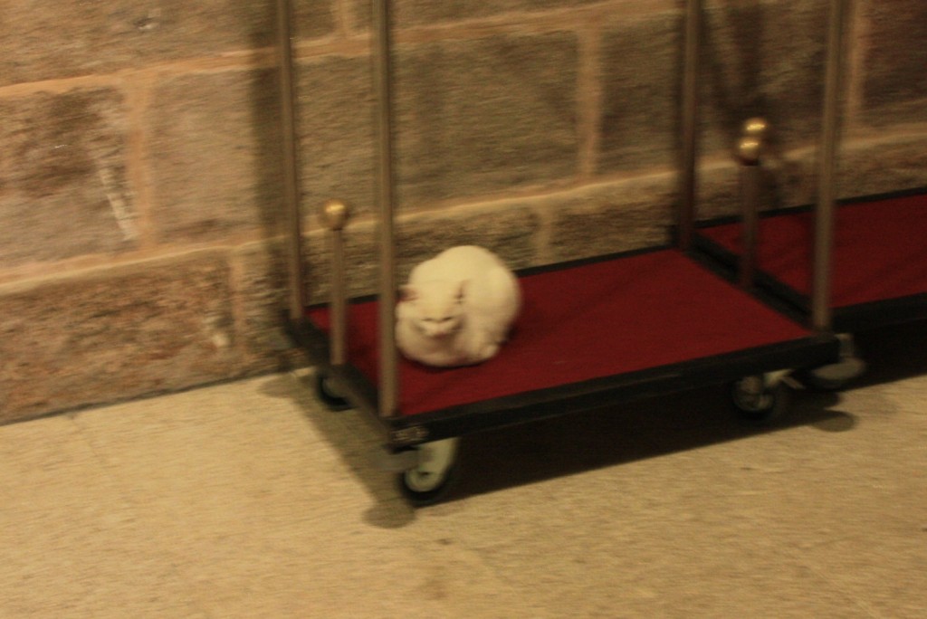 Foto: Monasterio de Santo Estevo - Nogueira de Ramuín (Ourense), España