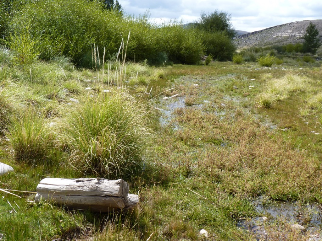 Foto: Castillos de Pincheira - Malargüe (Mendoza), Argentina