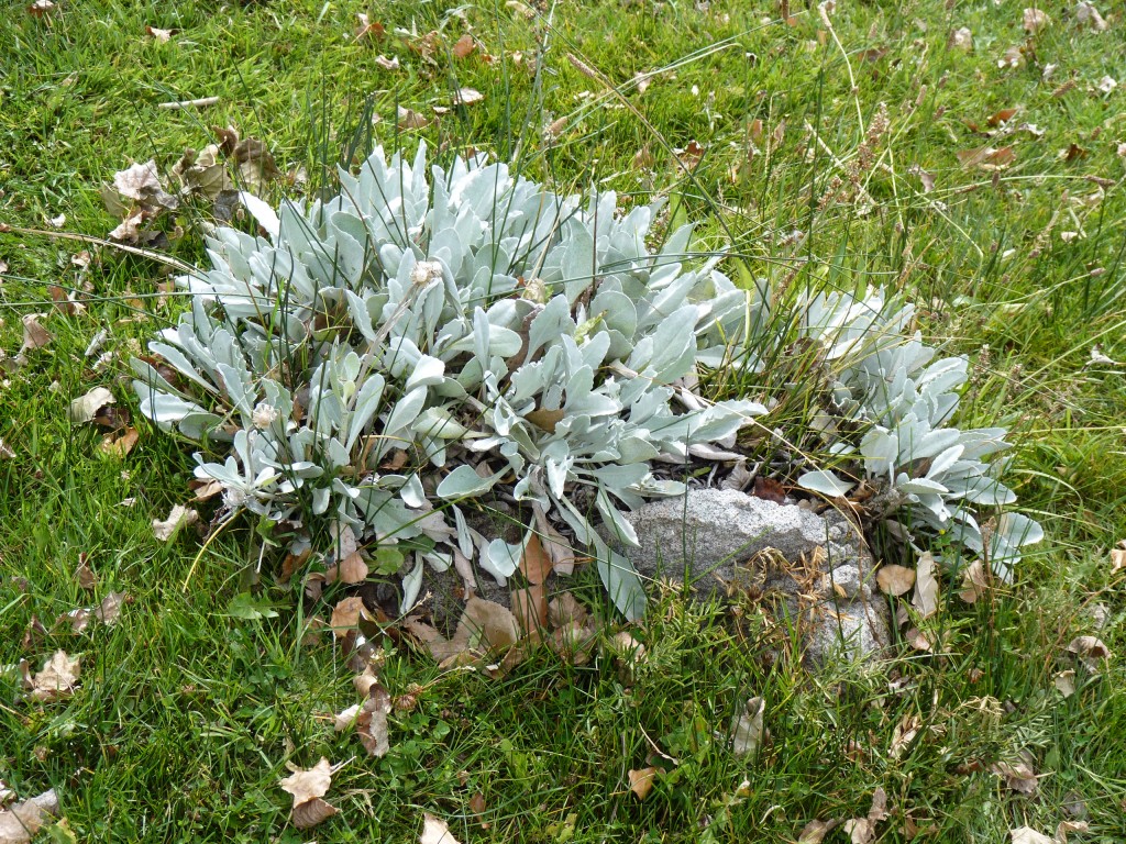Foto: Castillos de Pincheira - Malargüe (Mendoza), Argentina