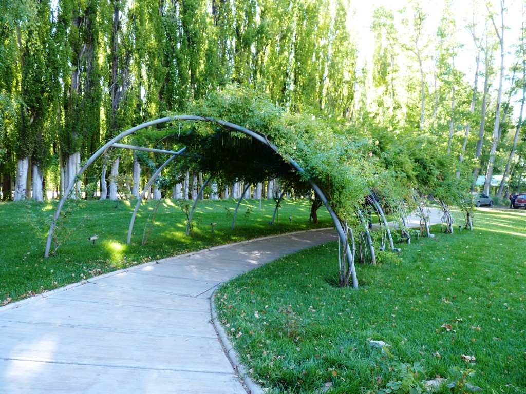 Foto: Observatorio Astronómico Pierre Auger - Malargüe (Mendoza), Argentina