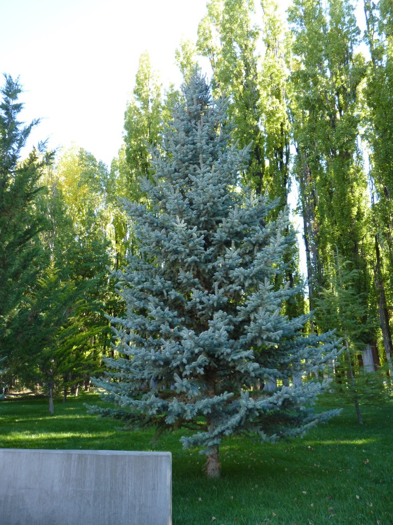 Foto: Observatorio Astronómico Pierre Auger - Malargüe (Mendoza), Argentina