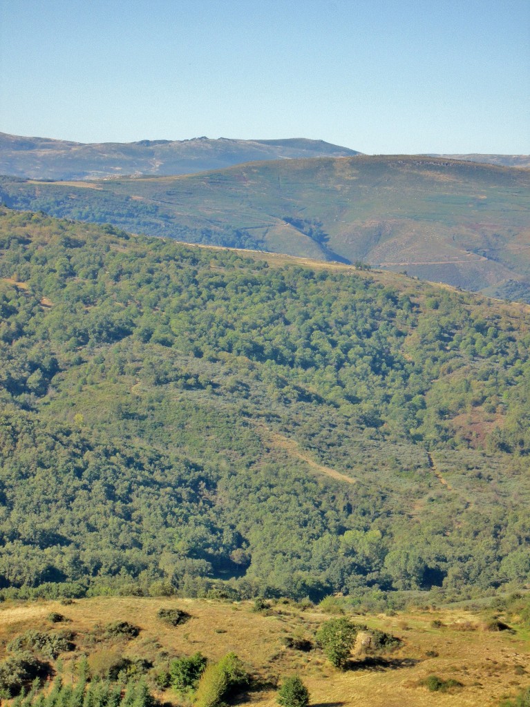 Foto: Vistas - O Bolo (Ourense), España