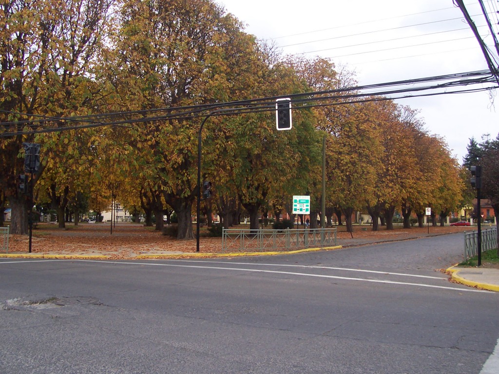 Foto: Plaza otoñal - Temuco (Araucanía), Chile