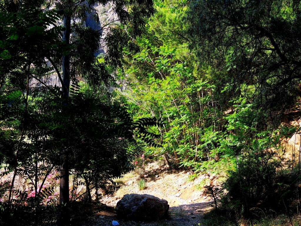 Foto de El Chorro (Málaga), España