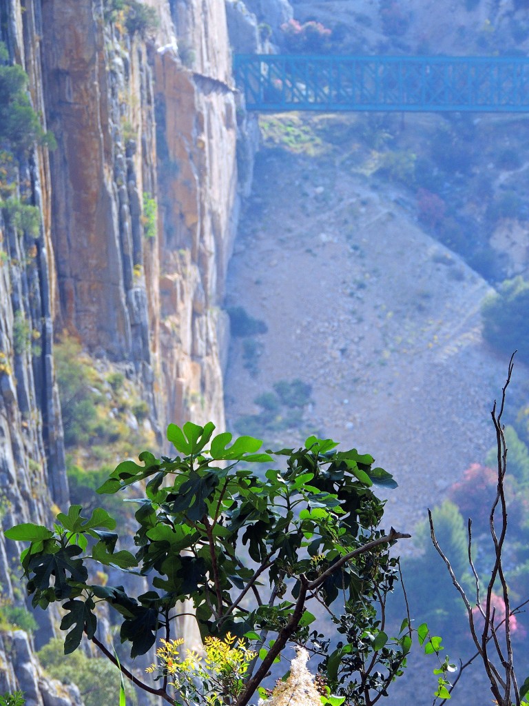 Foto de El Chorro (Málaga), España