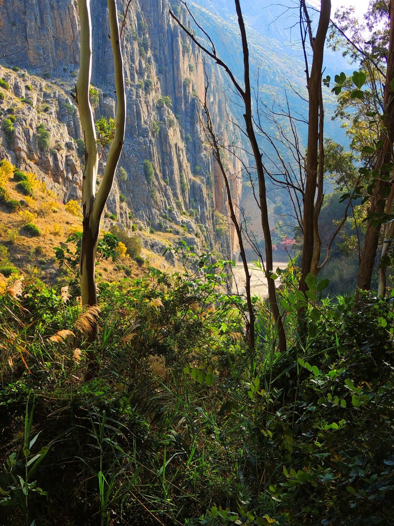 Foto de El Chorro (Málaga), España