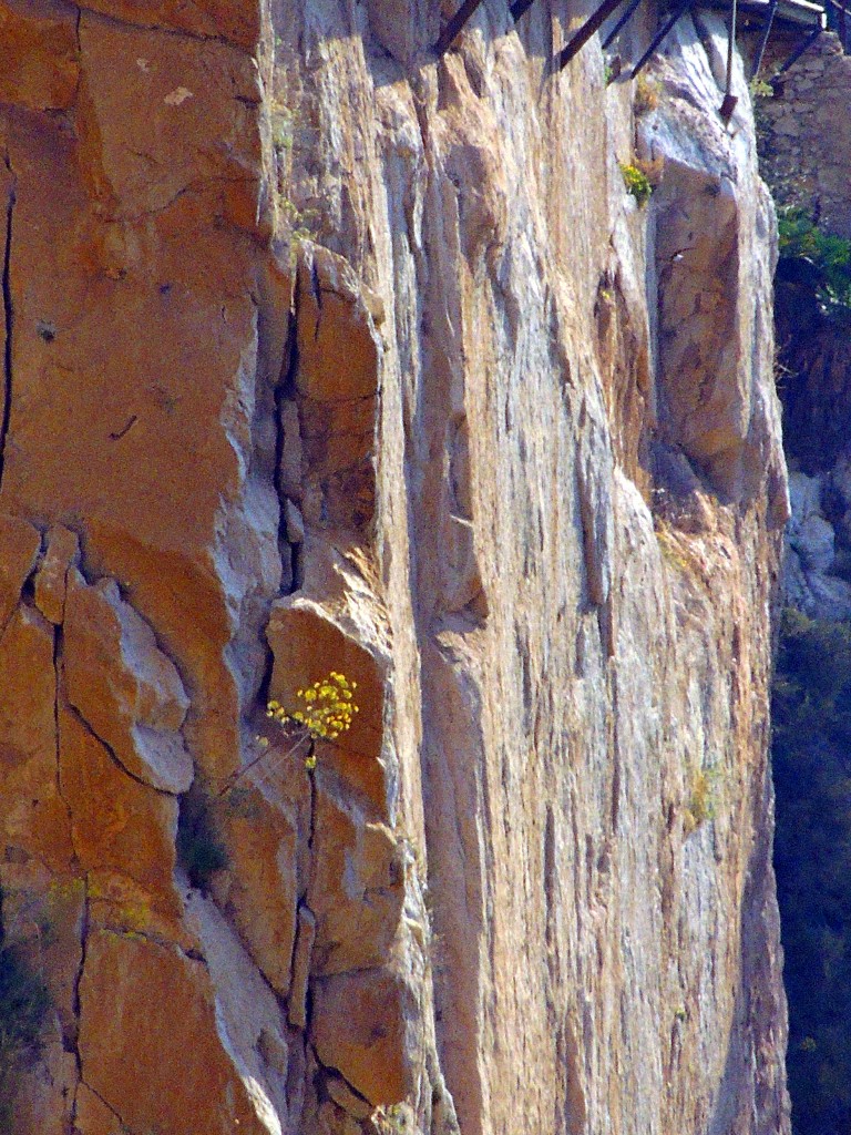 Foto de El Chorro (Málaga), España
