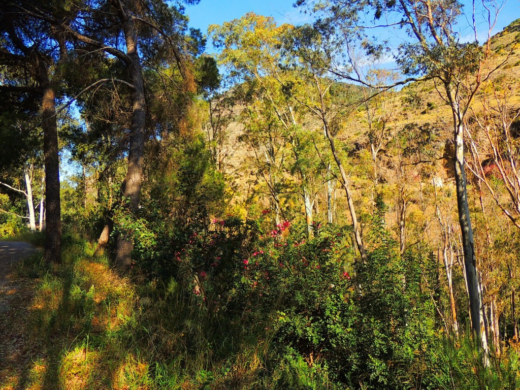 Foto de El Chorro (Málaga), España