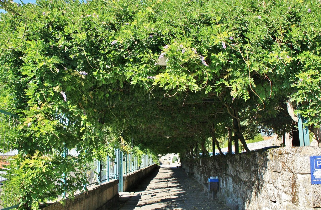 Foto: Centro histórico - Allariz (Ourense), España