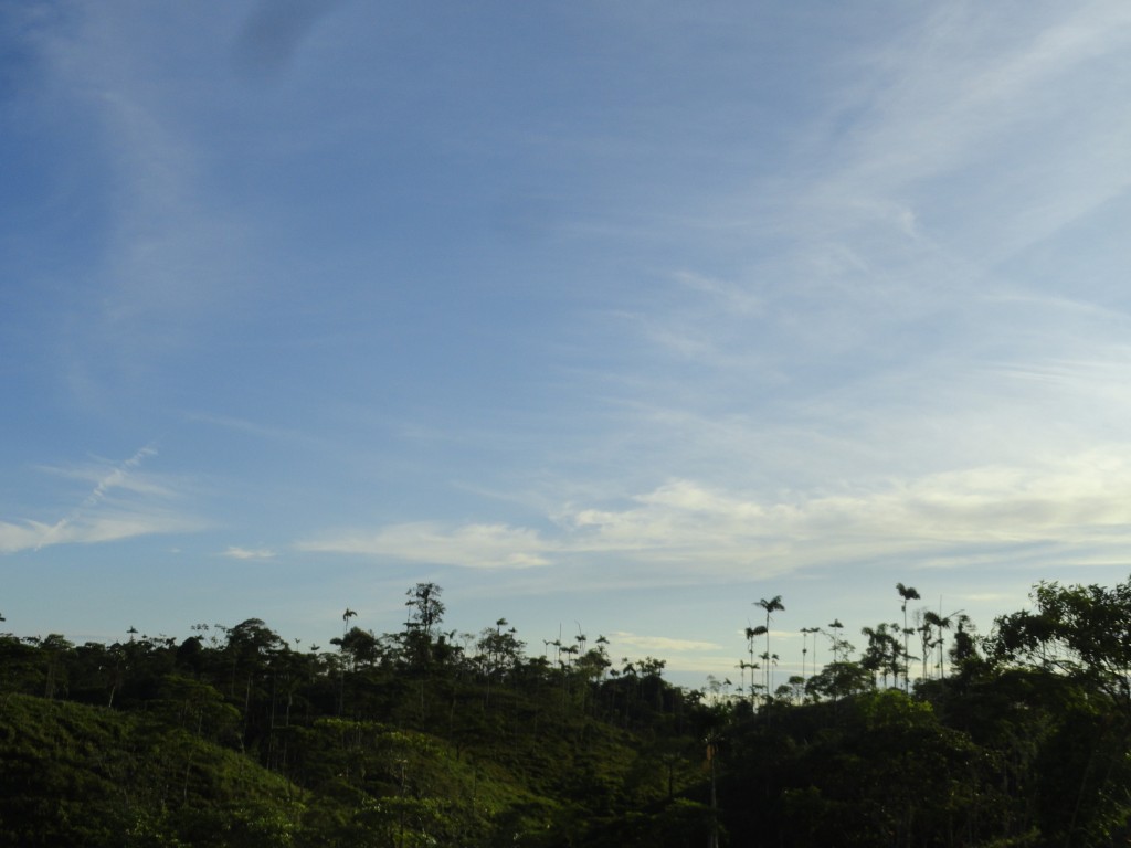 Foto: Paisaje - Simón Bolívar (Mushullacta) (Pastaza), Ecuador