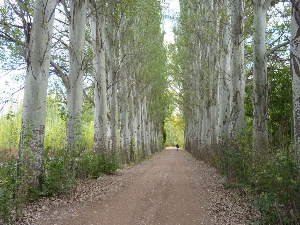 Foto: Casco de la estancia La Orteguina. - Malargüe (Mendoza), Argentina