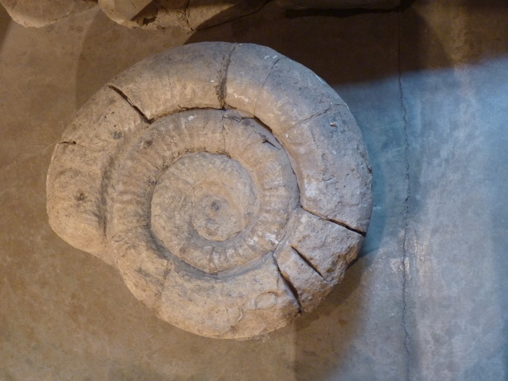 Foto: Museo Regional Malargüe - Malargüe (Mendoza), Argentina