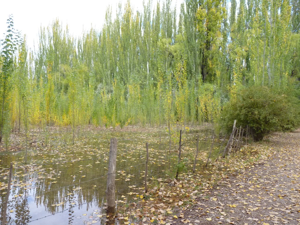 Foto: Casco de la estancia La Orteguina. - Malargüe (Mendoza), Argentina