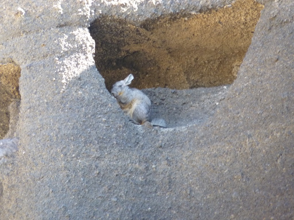Foto: Volcán Malacara - Malargüe (Mendoza), Argentina