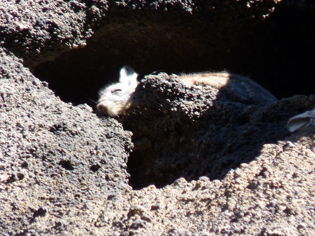 Foto: Volcán Malacara - Malargüe (Mendoza), Argentina