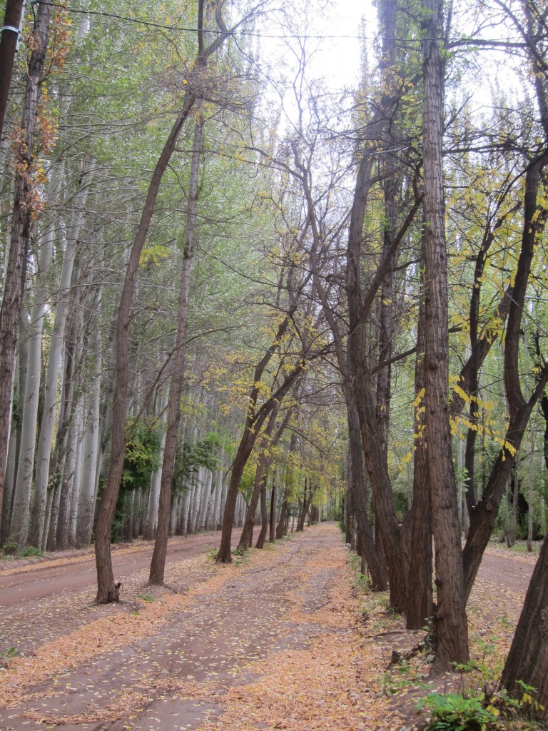 Foto: Casco de la estancia La Orteguina. - Malargüe (Mendoza), Argentina