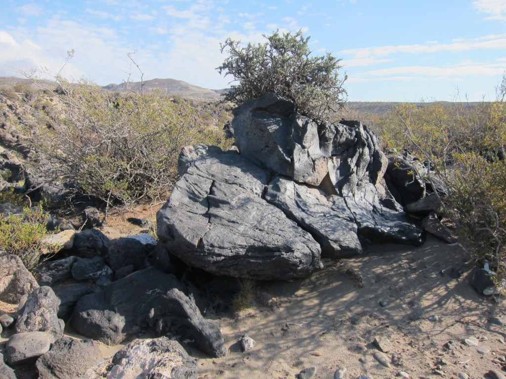 Foto: La Payunia - Malargüe (Mendoza), Argentina