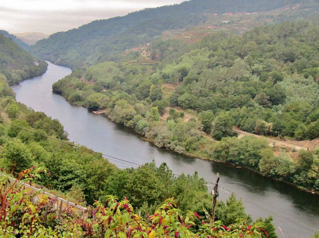Foto: Rio Miño - Ourense (Galicia), España