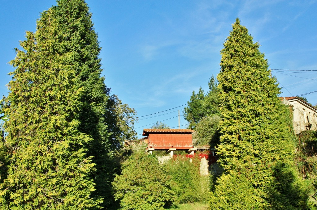 Foto: Monasterio - Oseira (Ourense), España