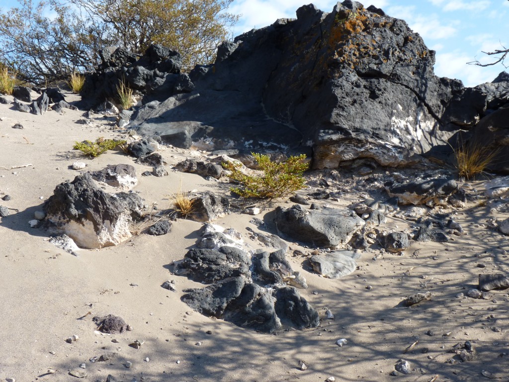 Foto: La Payunia. Río Grande. La Pasarela. - Malargüe (Mendoza), Argentina