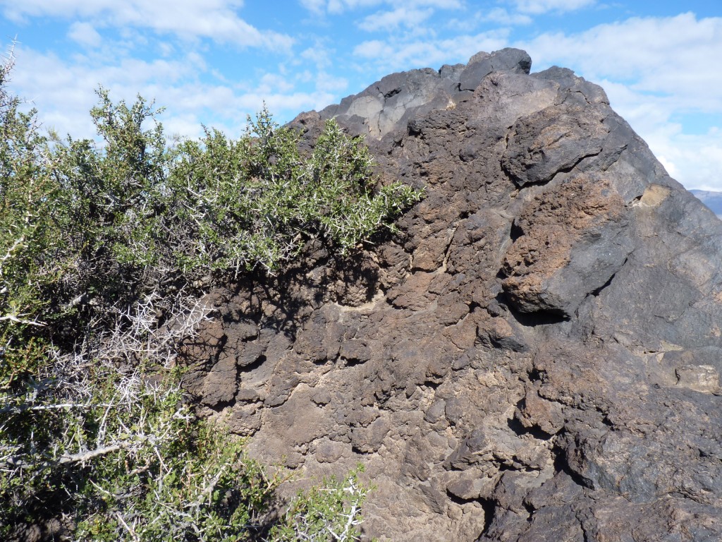 Foto: La Payunia. Río Grande. La Pasarela. - Malargüe (Mendoza), Argentina