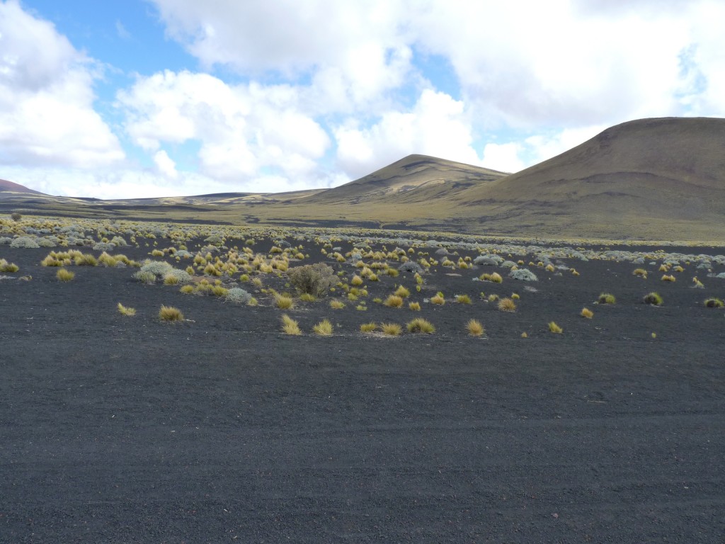 Foto: La Payunia. - Malargüe (Mendoza), Argentina