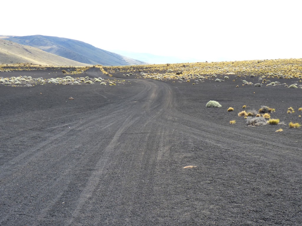 Foto: La Payunia. - Malargüe (Mendoza), Argentina