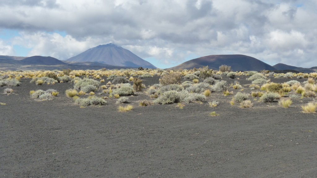 Foto: La Payunia - Malargüe (Mendoza), Argentina