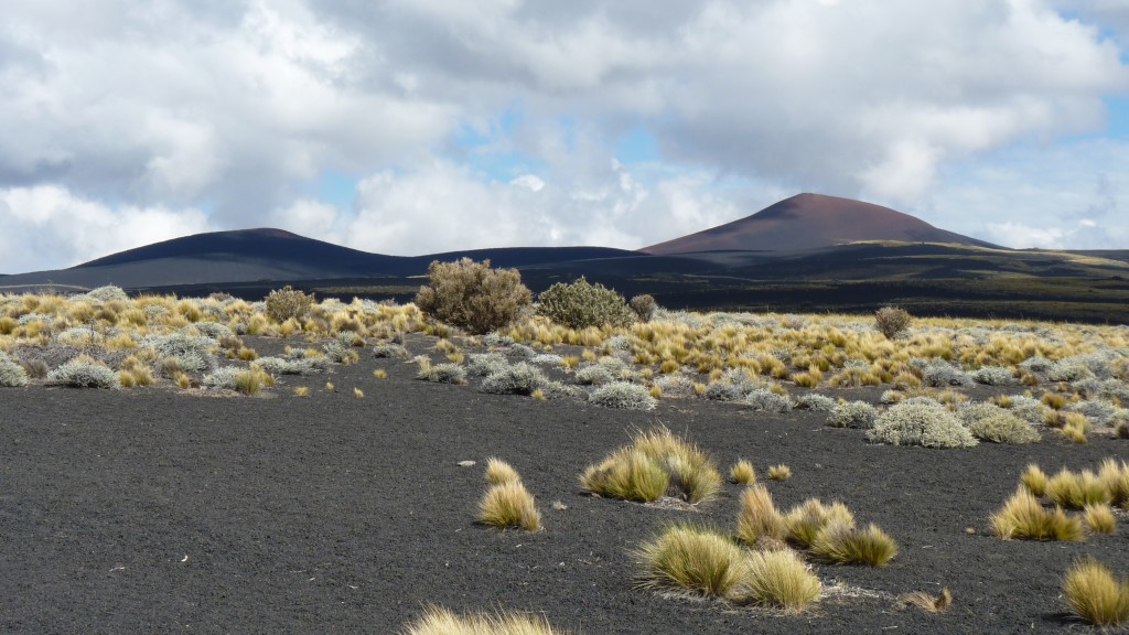 Foto: La Payunia - Malargüe (Mendoza), Argentina