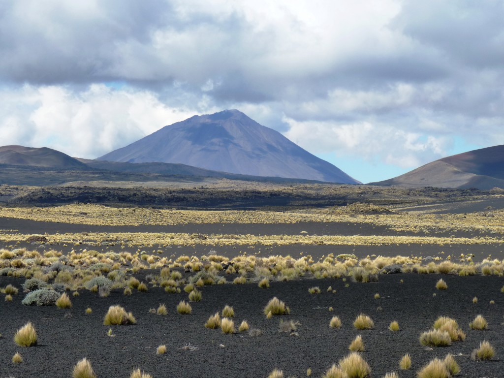 Foto: La Payunia - Malargüe (Mendoza), Argentina