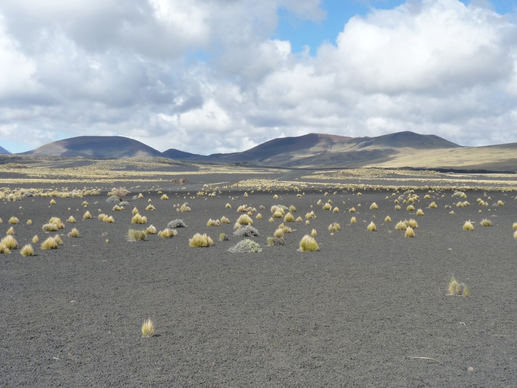 Foto: La Payunia - Malargüe (Mendoza), Argentina
