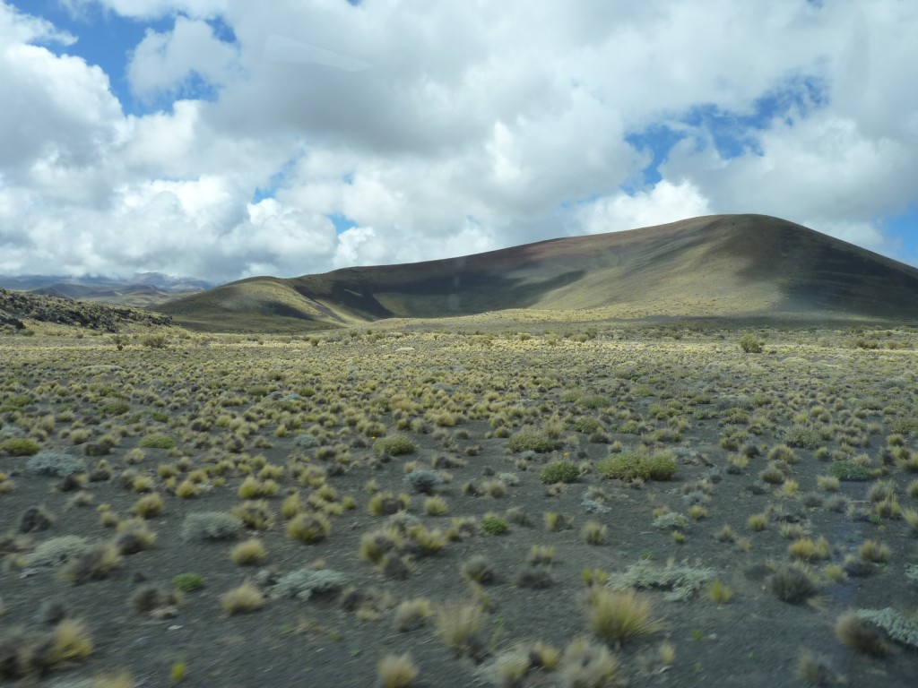 Foto: La Payunia - Malargüe (Mendoza), Argentina